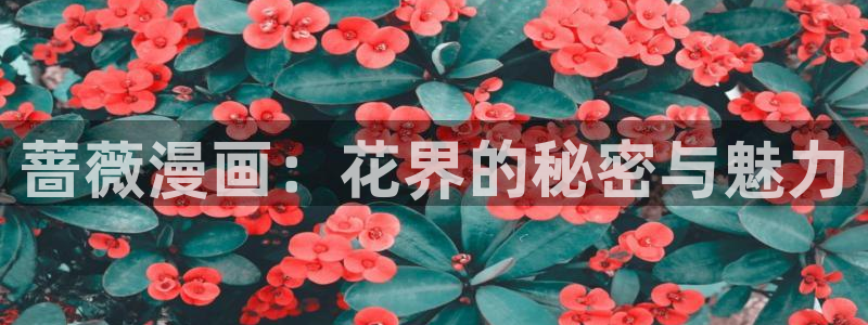 歪歪yy漫画