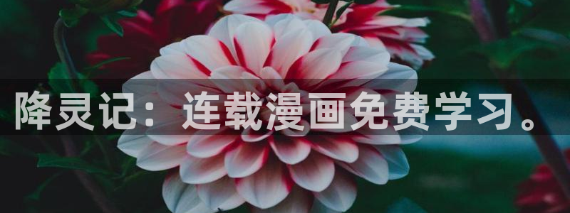 yy漫画登陆