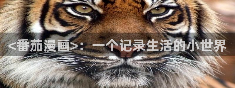 yy漫画登录网