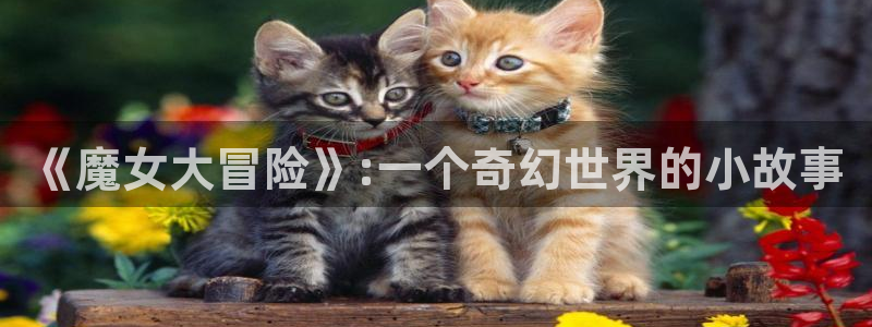 yy漫画网页版入口