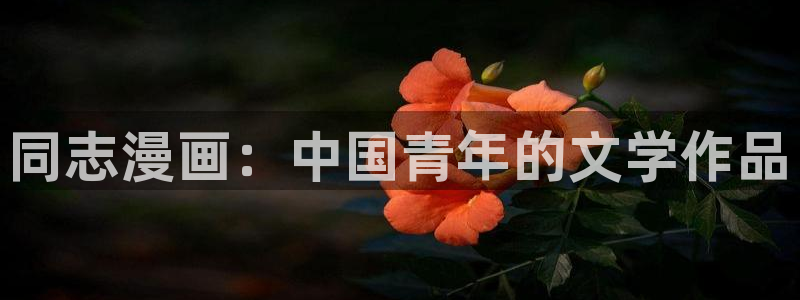 yy漫画免费漫画：同志漫画：中国青年的文学作品