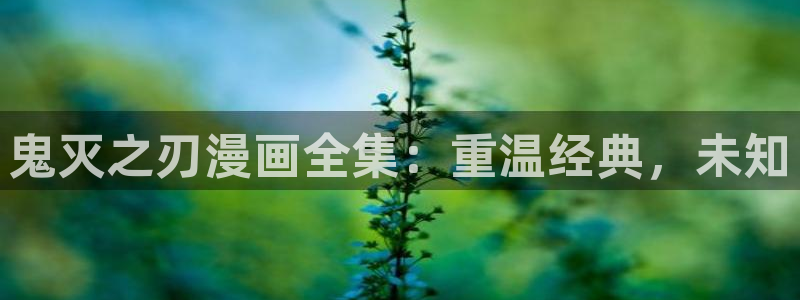 yy漫画首页登录入口页面在哪里