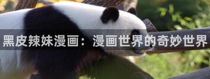 yy漫画网连载