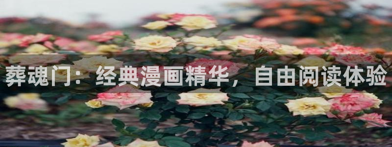 yy漫画在线观看免费漫画下拉式漫画