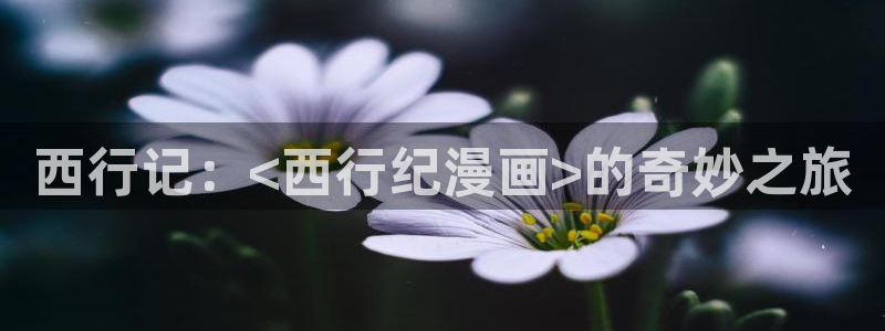 yy漫画免费漫画入口