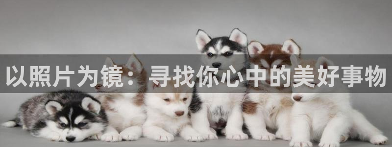 yy漫画免费漫画页面在线看漫画免费