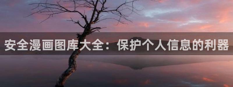 yy漫画登录页面免费漫画在线：安全漫画图库大全：保护个人信息的利器